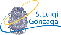 Azienda Ospedaliera S. Luigi Gonzaga
